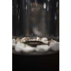 PLANIKA CHANTICO Glassfire BIOETANOL KANDALLÓ